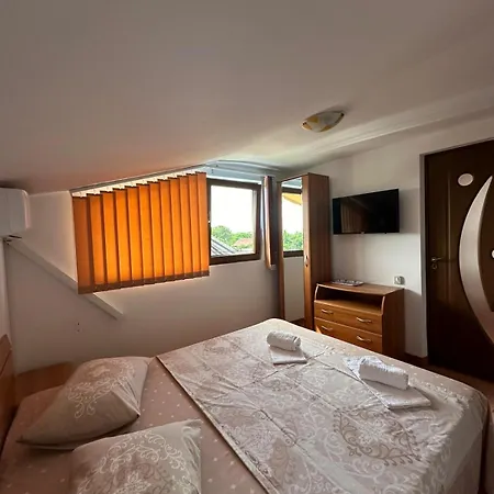 Pensionat Camelia 3*