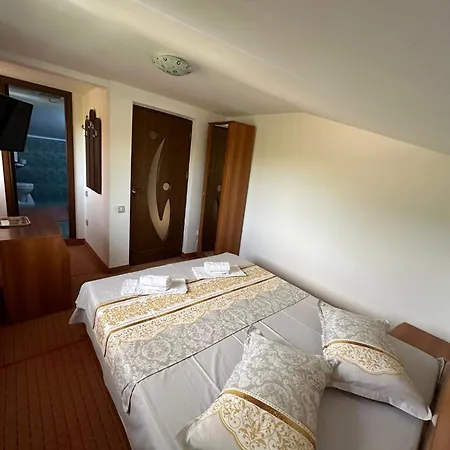 Camelia Guest house