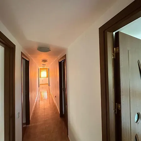 Camelia Guest house *