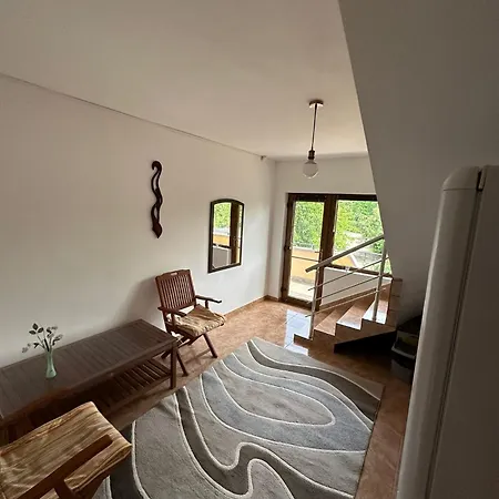 Camelia Guest house