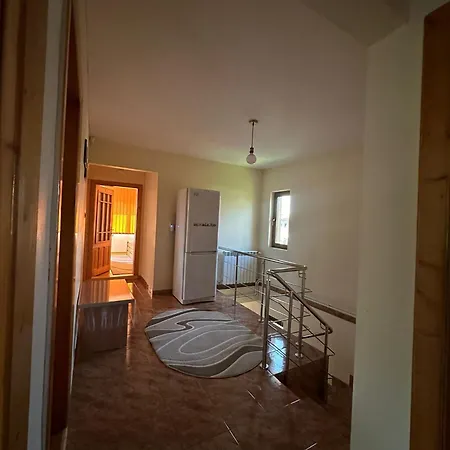 Camelia Guest house