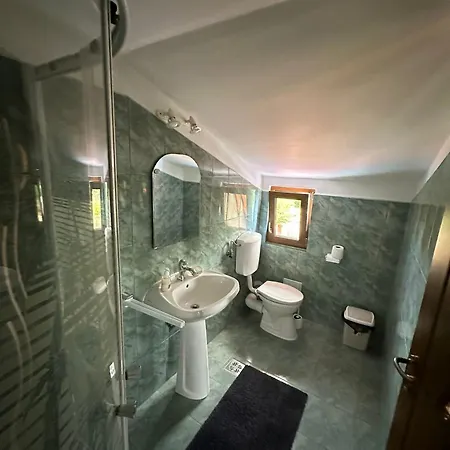 Camelia Guest house *