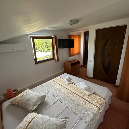 Camelia Guest house
