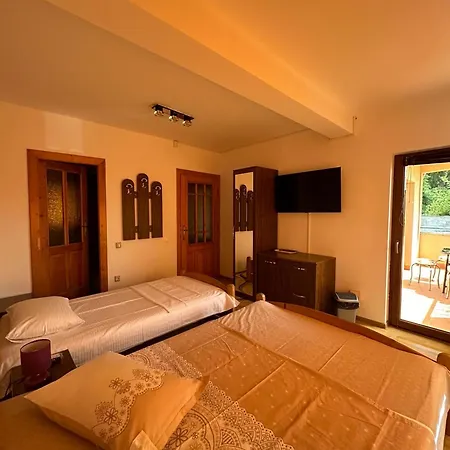 Camelia Guest house